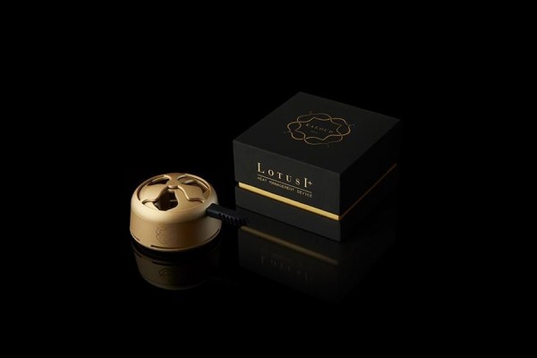 Kaloud Lotus 1+ Auris HMD - Gold